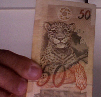 Brazil’s money… with jaguars!