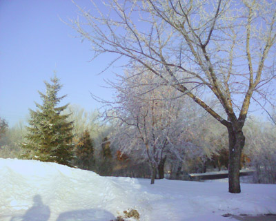 Snow Day 1