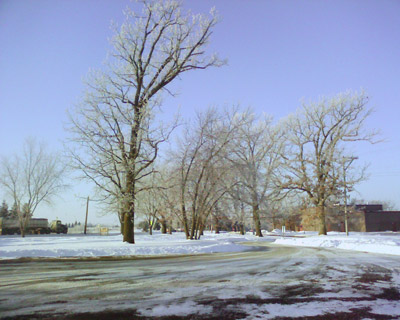 Snow Day 3